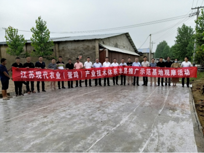 丰县示范基地引领技术革新，助推蛋鸡养殖产业提质增效